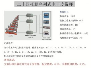 24托輥序列式高精度皮帶秤