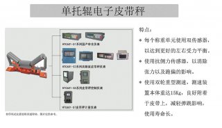單托輥電子皮帶秤