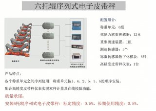 6托輥高精度皮帶秤